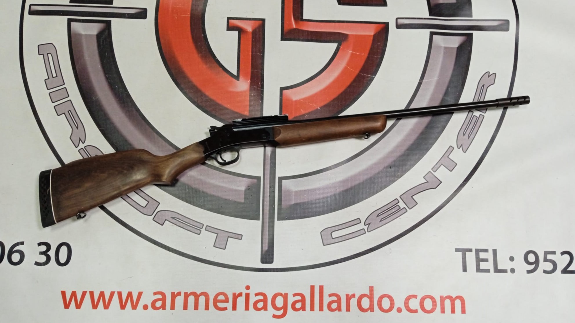 RIFLE ROSSI MONOTIRO 308