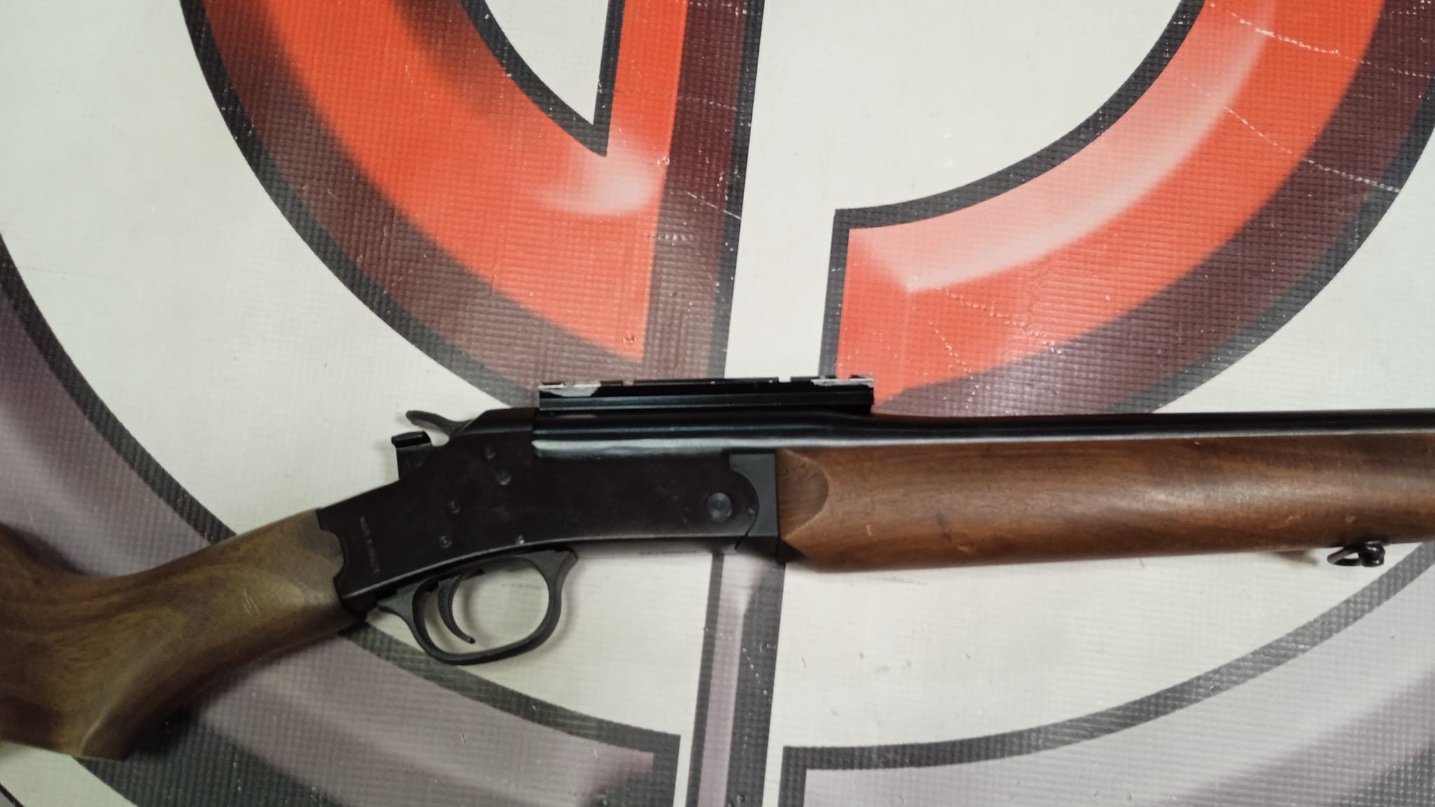 RIFLE ROSSI MONOTIRO 308