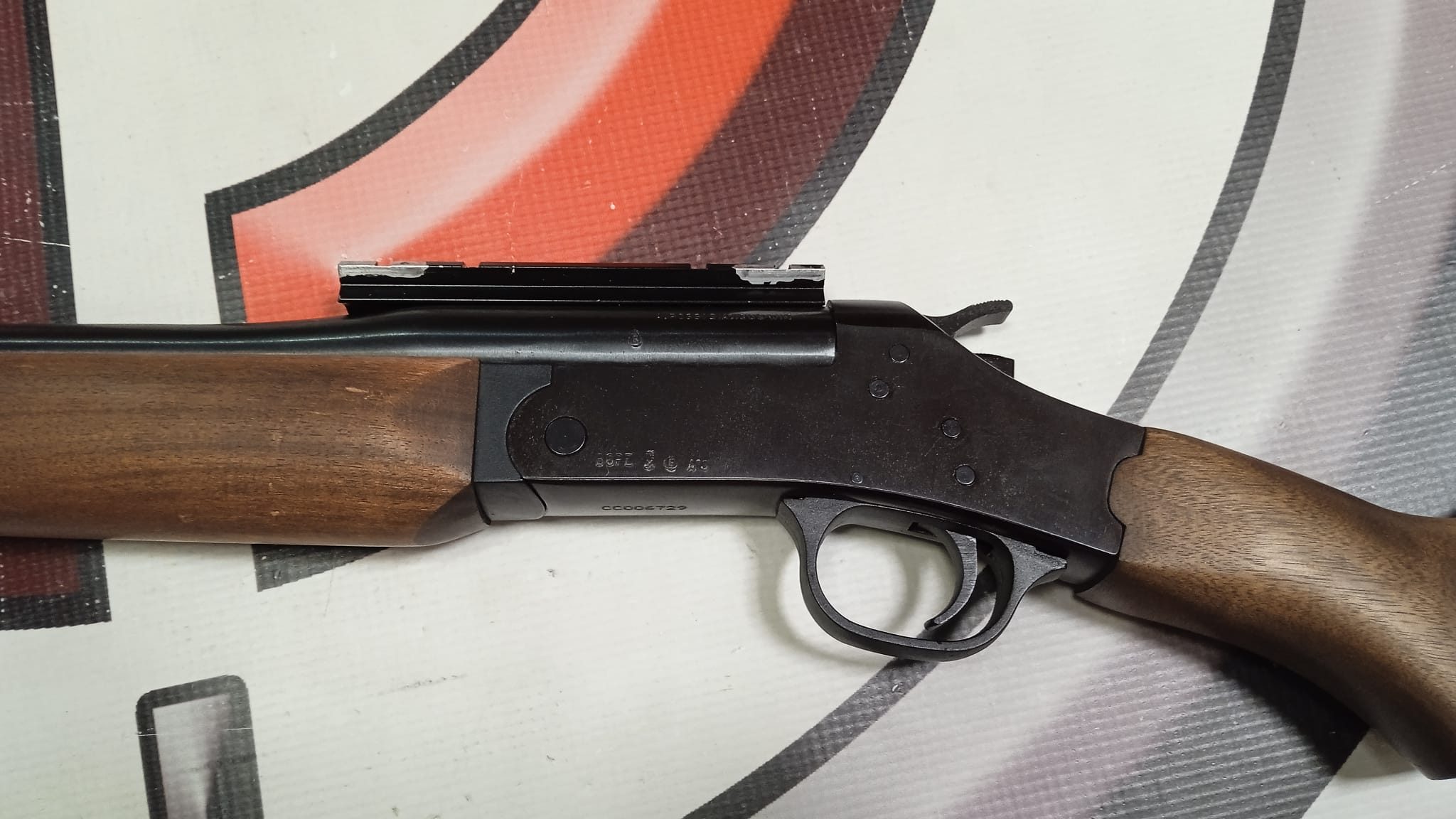 RIFLE ROSSI MONOTIRO 308