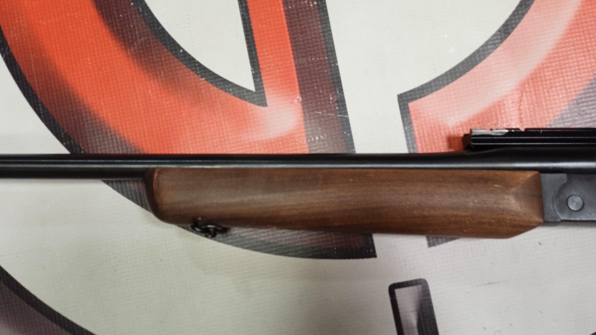 RIFLE ROSSI MONOTIRO 308